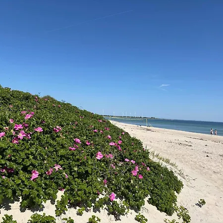 8 Person In Sydals Holiday home Mommark