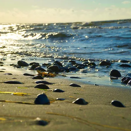 8 Person In Sydals Mommark